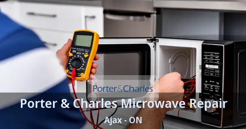Porter & Charles Microwave Repair Ajax - ON