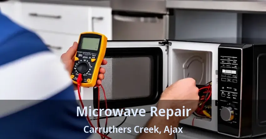 Microwave Repair Carruthers Creek, Ajax - ON