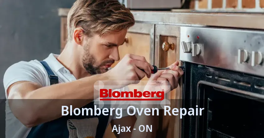 Blomberg Oven Repair Ajax - ON