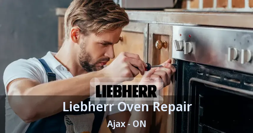 Liebherr Oven Repair Ajax - ON