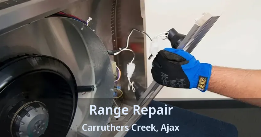 Range Repair Carruthers Creek, Ajax - ON