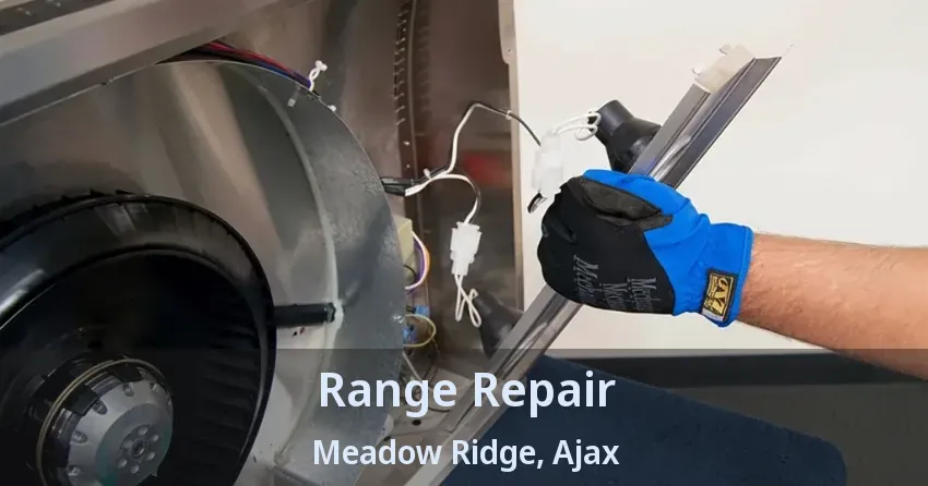 Range Repair Meadow Ridge, Ajax - ON