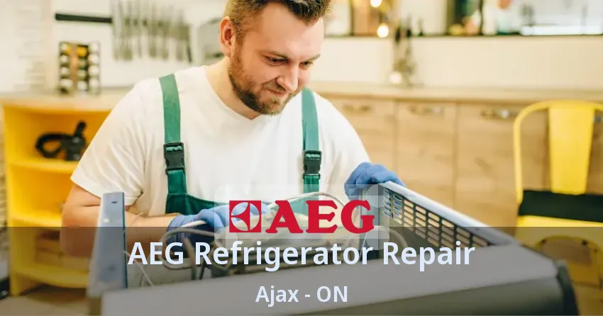 AEG Refrigerator Repair Ajax - ON