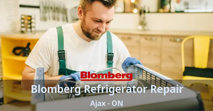 Blomberg Refrigerator Repair Ajax - ON