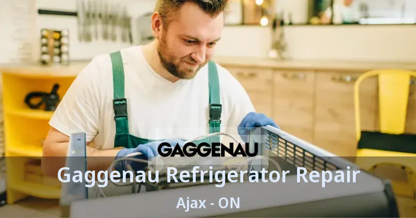 Gaggenau Refrigerator Repair Ajax - ON