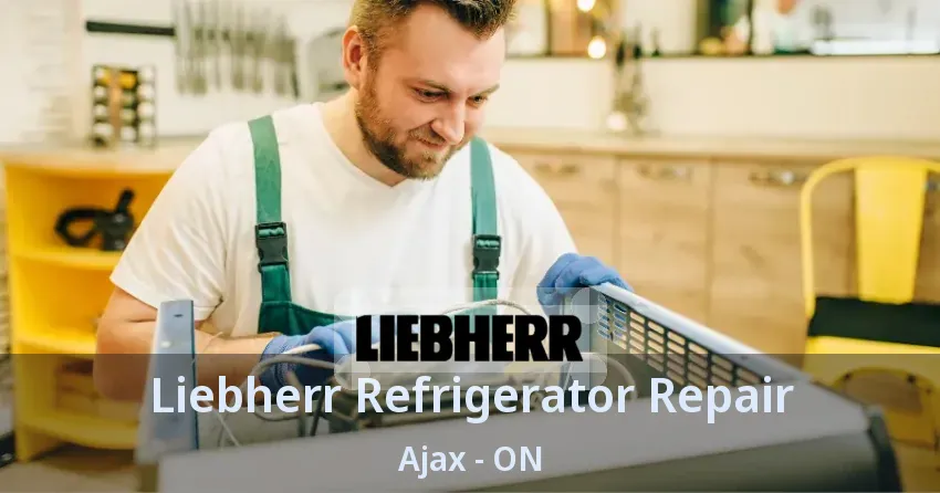 Liebherr Refrigerator Repair Ajax - ON
