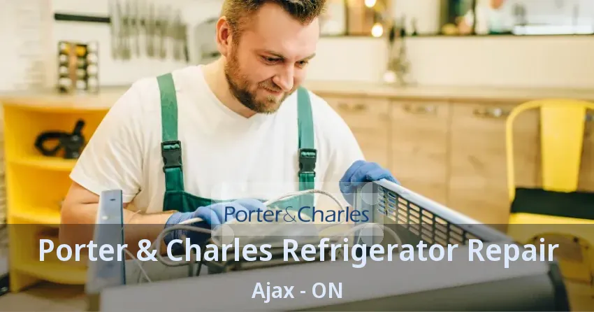Porter & Charles Refrigerator Repair Ajax - ON