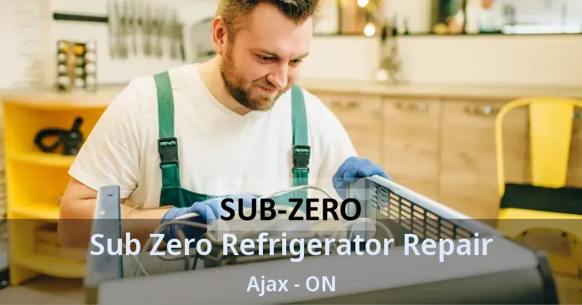 Sub Zero Refrigerator Repair Ajax - ON