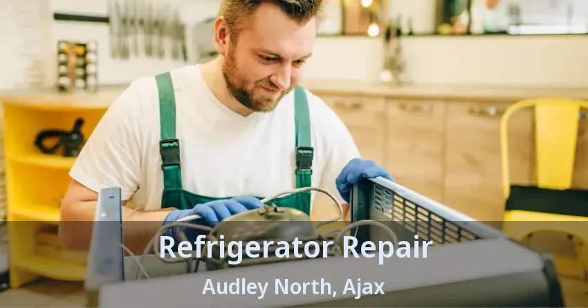 Refrigerator Repair Audley North, Ajax - ON