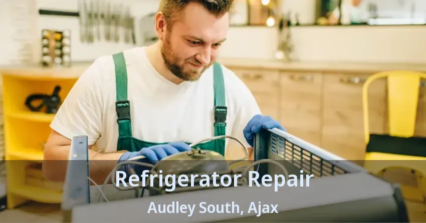 Refrigerator Repair Audley South, Ajax - ON