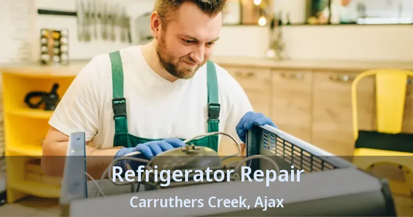 Refrigerator Repair Carruthers Creek, Ajax - ON