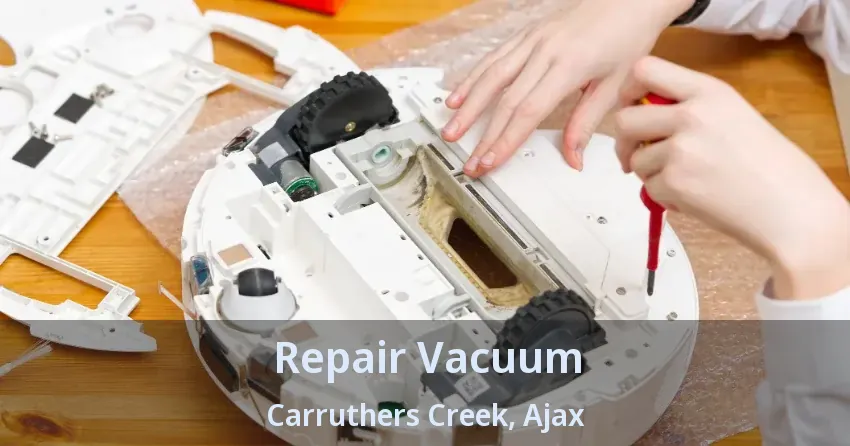 Repair Vacuum Carruthers Creek, Ajax - ON