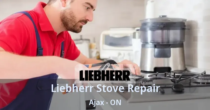 Liebherr Stove Repair Ajax - ON