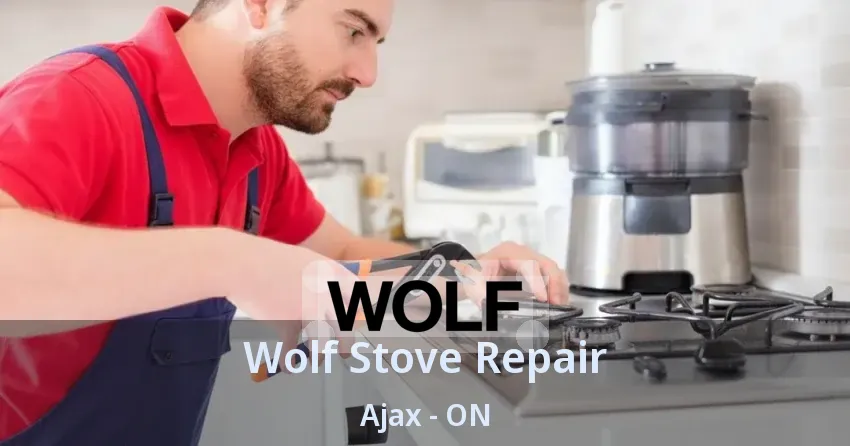 Wolf Stove Repair Ajax - ON
