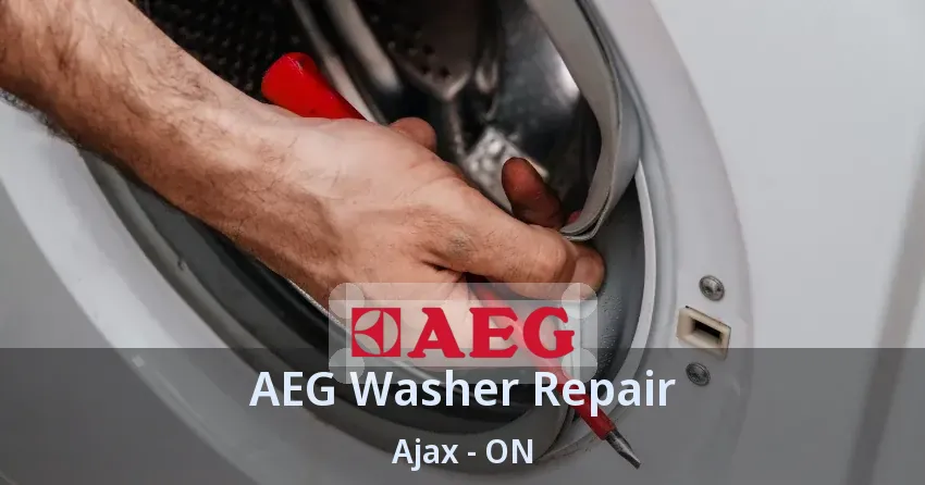 AEG Washer Repair Ajax - ON