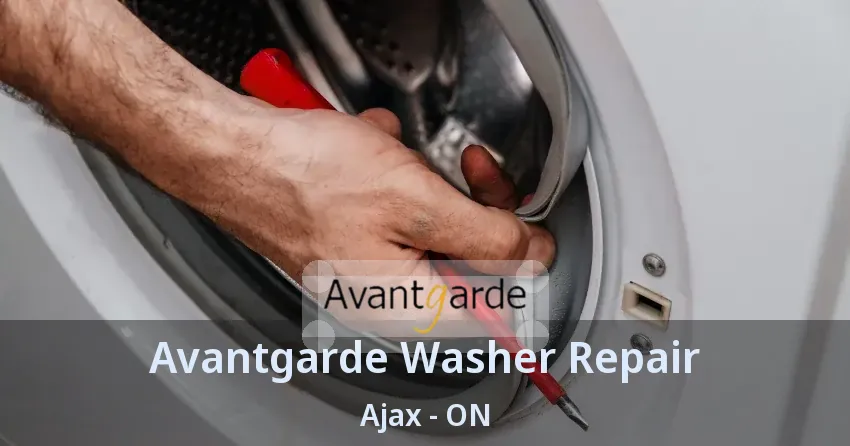 Avantgarde Washer Repair Ajax - ON