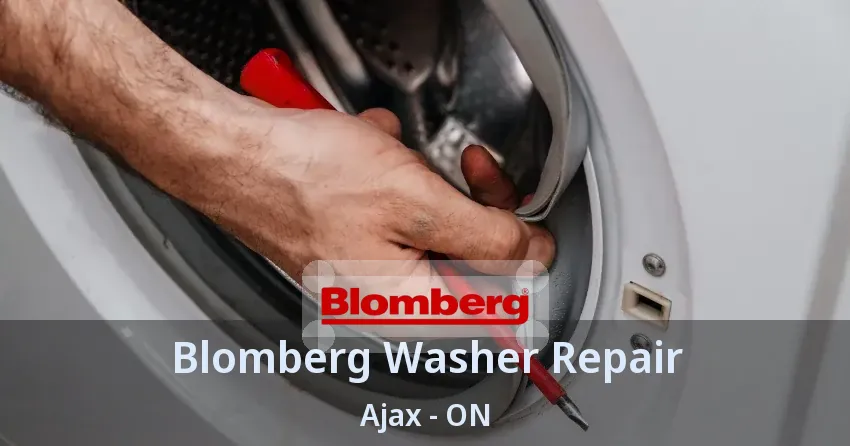 Blomberg Washer Repair Ajax - ON