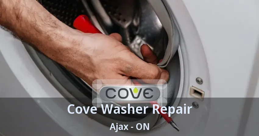 Cove Washer Repair Ajax - ON