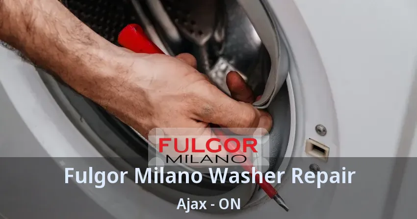 Fulgor Milano Washer Repair Ajax - ON