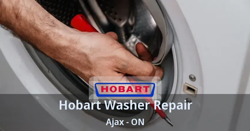 Hobart Washer Repair Ajax - ON