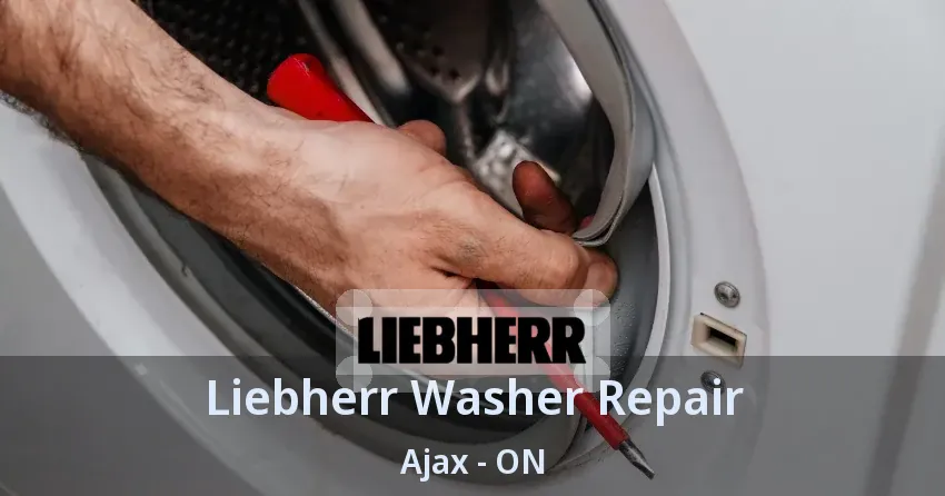 Liebherr Washer Repair Ajax - ON