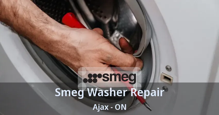 Smeg Washer Repair Ajax - ON