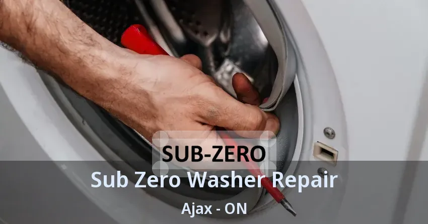 Sub Zero Washer Repair Ajax - ON